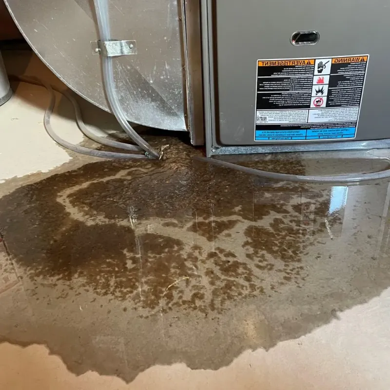 Pipe Burst and Leak Restoration in Trotwood, OH