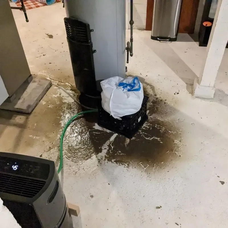 Sewage Backup Cleanup Service in Trotwood, OH